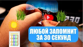 Как быстро запомнить порядок цветов витой пары rj45