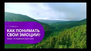 #КАК понимать свои #эмоции? | #Чувства как основа для наших эмоций | Рассказывает #КРАЙСРасулев