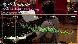 DSD 256 11.2MHz "Mayo Nakano Piano Trio" [Ultra HD 2160p].mp4