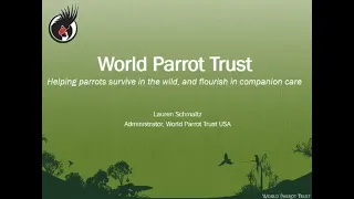 TPC Feb 2022 Zoom Meeting - Lauren Schmaltz, U.S. Admin for World Parrot Trust - Why Save Parrots?