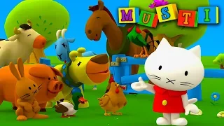 Musti - Todos os 5 episódios - Desenho animado para crianças