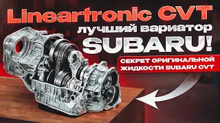 Lineartronic CVT - плюсы и минусы вариатора Subaru. Секрет оригинальной жидкости.