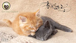 Cat Music - 10 Hours of Deep Relaxing Music for Cats (with cat purring sounds)