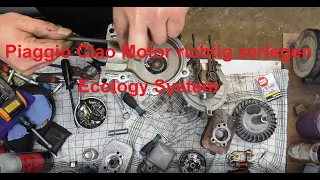 Piaggio Ciao L Bj. 1973: Motor zerlegen ganz einfach 😆? Und was ist das "Ecology System"?