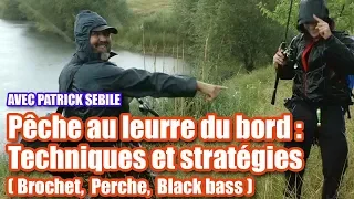 Pêche au leurre du bord : Techniques et stratégies (Brochet, Perche, Bass)