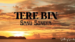 Tere Bin Sanu Soneya | Cover Song | Rabbi Shergill