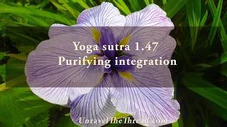 Yoga Sutra 1.47 Purifying integration