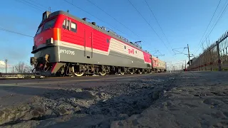 Увидели много поездов 🚆 Нашли шалаш Собака ест кого-то