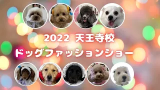 2022ドッグファッションショー 天王寺キャンパス（大阪動物専門学校天王寺校）