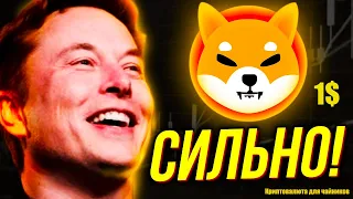 Илон Маск пообещал сделать SHIBA INU по 1 доллару ? / Методы заработка на криптовалюте /Biswap /Posi