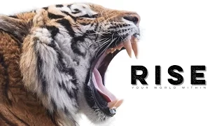 Rise - Motivational Audio Compilation