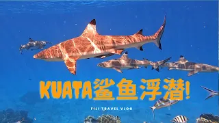 斐济游（四）Kuata岛鲨鱼浮潜