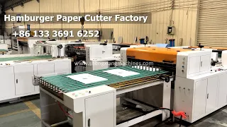 Hamburger Paper Cutting Machine Sandwich Paper Roll To Size Sheet Cutting Sheeting Machine