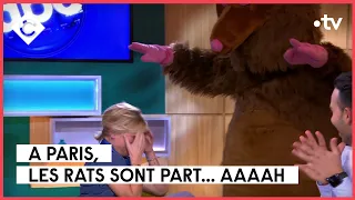 Les souris nous envahissent ! - L’ABC - C à Vous - 30/11/2022