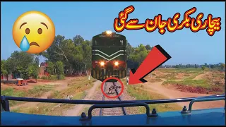 Live Poor Little goat hit with fastest train Tezgam 7up near LalaMusa Pakistan Train VS Goat