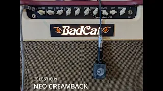 Celestion Neo Creamback vs Jensen Tornado 100  - Bad Cat Trem Cat