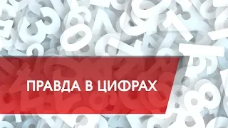 ПРАВДА В ЦИФРАХ с Ольгой Устиновой  Отношение к "закону"