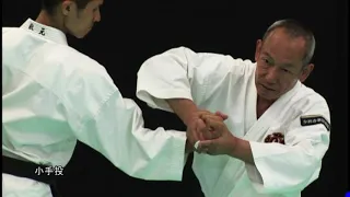 The secret  kote nage techniques, Shorinji Kempo. Sensei Arai Tsunehiro. 少林寺拳法. 武道少林寺拳法の講義