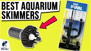 10 Best Aquarium Skimmers 2021