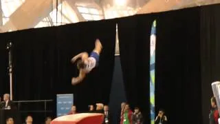 Marty Strech - Vault - 2014 Pacific Rim Championships Event Finals