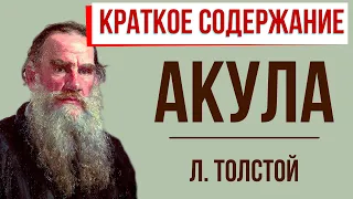 Акула. Краткое содержание