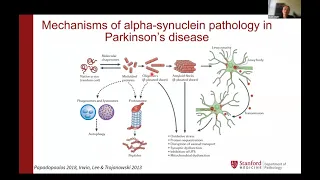 Alpha-synuclein as a therapeutic target for Parkinson’s disease: challenges and opportunities