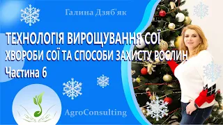 Технологія вирощування сої. Хвороби сої та способи захисту рослин. Частина 6.