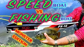 RC Boat catches Fish!! Crazy boat vs boat tournament!