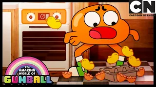 Der Held | Die Fantastische Welt Von Gumball | Cartoon Network