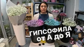 🌷 Как я работаю с Гипсофилой | Раскрываю все секреты!