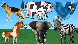Learn to recognize cow, horse, chicken,dog, Animal Sound 143
