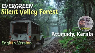 Silent Valley rain forest, Kerala | English version of Attapadi story