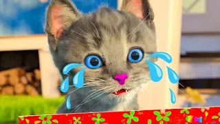 CUTE LITTLE KITTEN ADVENTURE - FUNNY KITTY WITH FRIENDS GOES ADVENTUROUS JOURNEY - CARTOON VIDEO