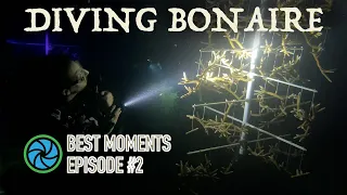 Diving Bonaire   Best Moments   Episode #2 | TropicLens - 4K