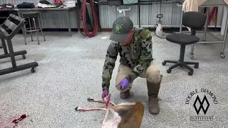 Tip Tuesday - How to cape a blackbuck for a full body mount