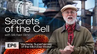Bacteria: Superheroes of the Microbial World (Secrets of the Cell, Episode 6)