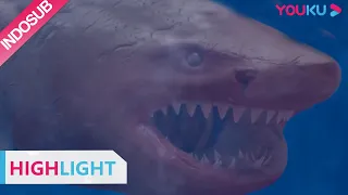 Highlight (Horror Shark) Perubahan gen menyebabkan Ikan Hiu menjadi Hiu pembunuh  | YOUKU [INDO SUB]