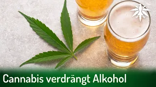 Cannabis verdrängt Alkohol | DHV-News # 342