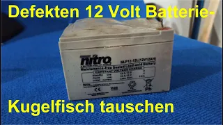 Twizy defekte 12V Batterie wechseln