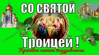 Поздравляю со Святой Троицей🌿Красивое видео поздравление на Троицу🌿Троица красивая открытка