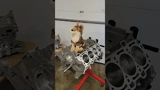 Coyote GEN2 5.0 Engine Assembly!