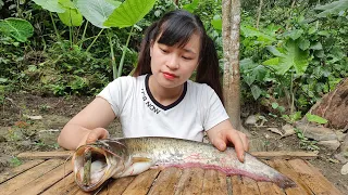 Girl Cooking Catfish In Forest And Eating Delicious #55 | Cooking VN