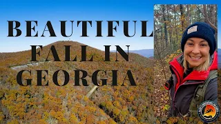 Relaxing Nature Hike (Fall Colors) North Georgia Mountains