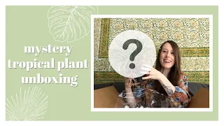 Mystery Tropical Plant Unboxing! (I was definitely surprised...) | Plant Collective