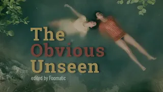 The Obvious Unseen  ||  Ellie and Aster  ||  The Half of It