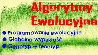 Programowanie ewolucyjne. Globalna wypukłość. Mapowanie genotyp-fenotyp.