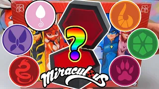 Excellent Miraculous Ladybug Mystery Box | Zag Store