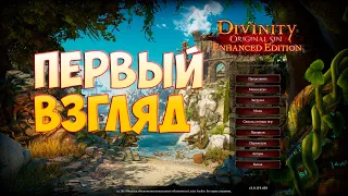 Divinity Original Sin EE   Первый взгляд на расширенное издание.