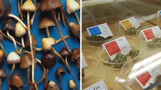 California lawmakers vote to decriminalize psychedelics, move forward with cannabis cafes