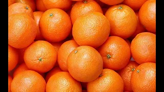 Surface Image: Prologue: Oranges Version, 2023 [Viewing Copy]